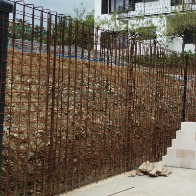 Image2